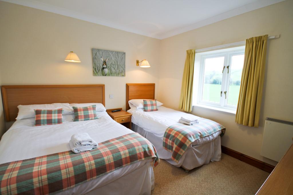 Llety Ceiro Guesthouse Aberystwyth Exterior photo